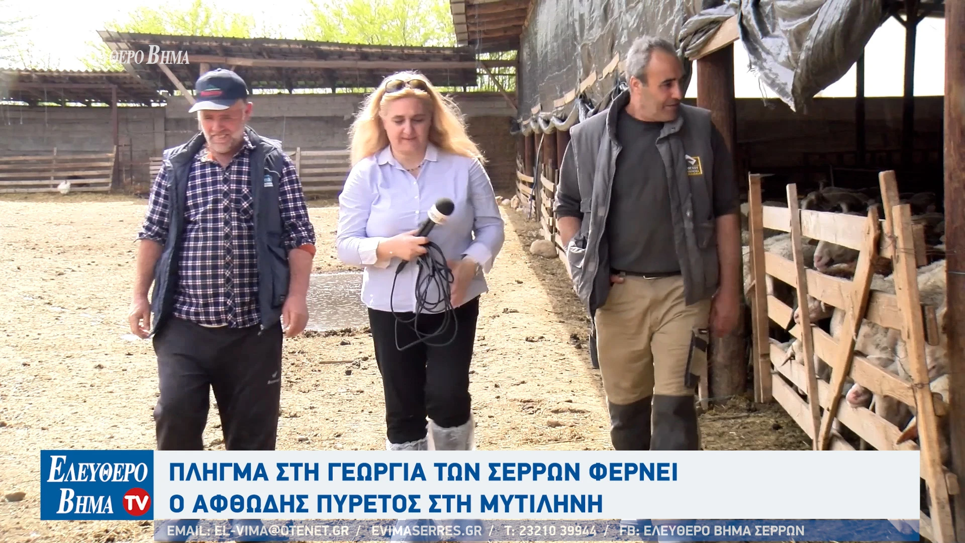 tasos-gkiorgkinis-georgia-ktinotrofia-afthodis-piretos-serres-provata-egkleismos.jpg?v=0