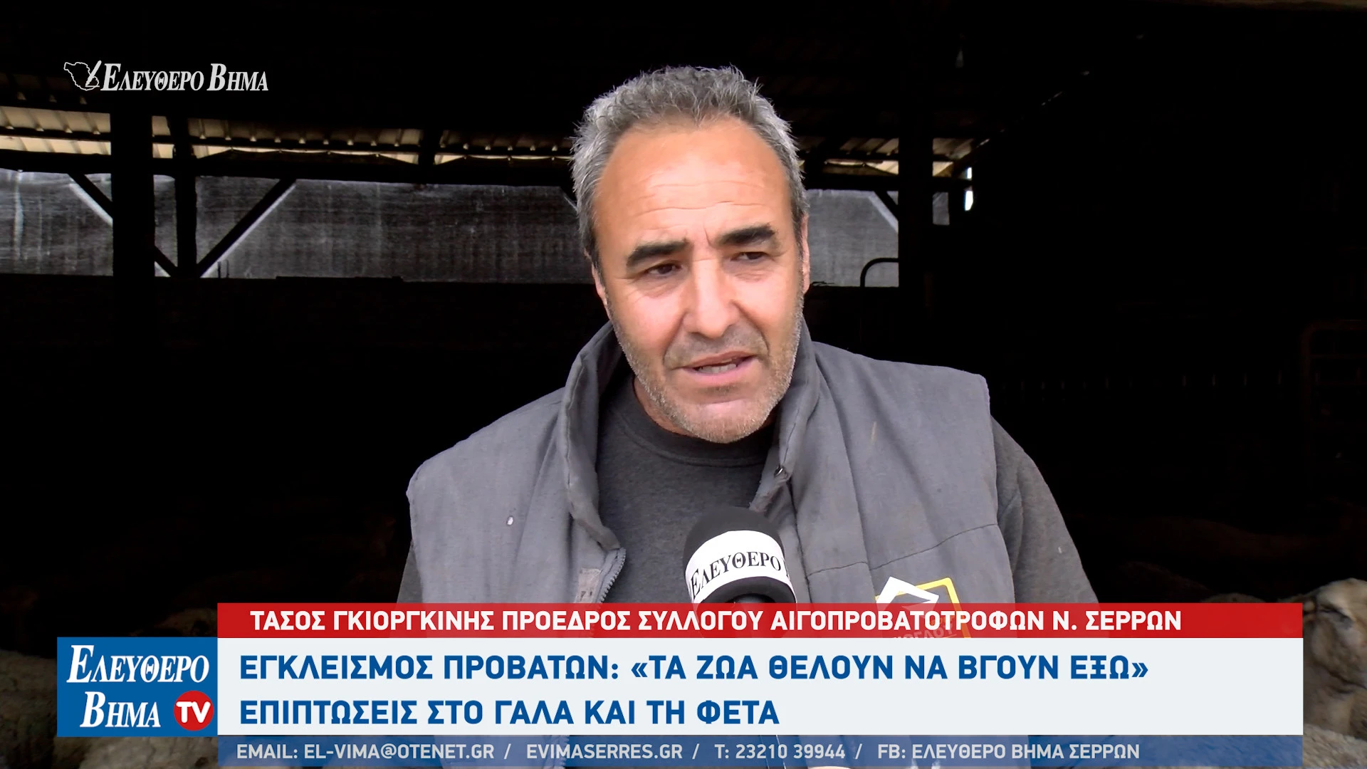 tasos-gkiorgkinis-provata-serres-egkleismos-evlogia2.jpg?v=0