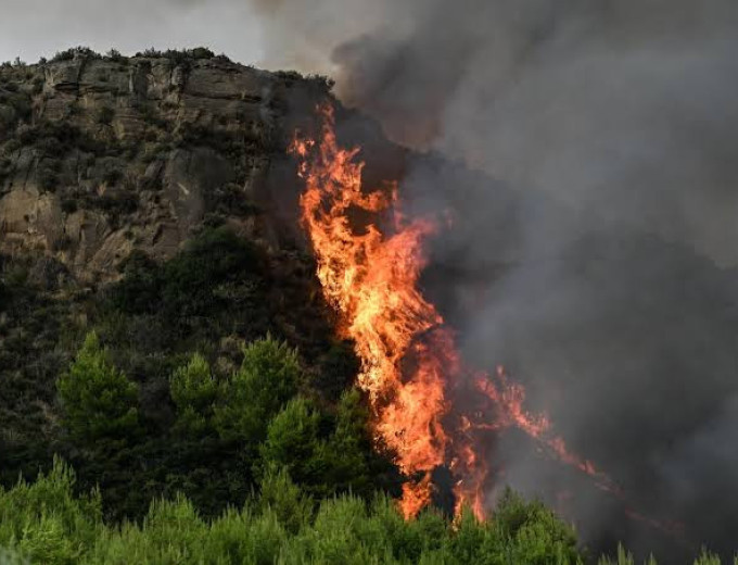 «Όχι άλλο κάρβουνο και υποκρισία»