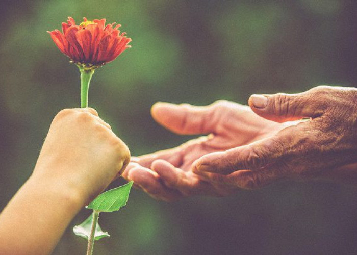 Η ΚΑΛΟΣΥΝΗ ΚΑΝΕΙ ΚΑΛΟ ΣΤΗΝ ΚΑΡΔΙΑ ΚΑΙ ΜΕΙΩΝΕΙ ΤΟ ΑΓΧΟΣ, ΣΥΜΦΩΝΑ ΜΕ ΤΗΝ ΕΠΙΣΤΗΜΗ!