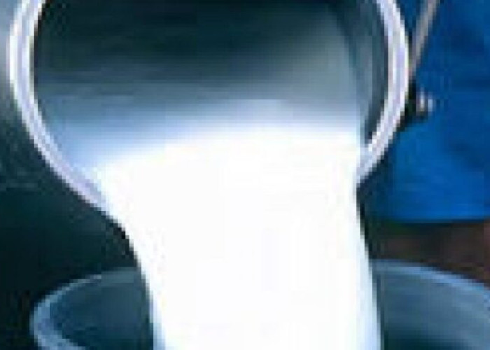 Το κατσικίσιο γάλα συμβάλλει στη θεραπεία του γαστρικού έλκους, της οστεοπόρωσης, της σιδηροπενίας και της αρτηριοσκλήρυνσης