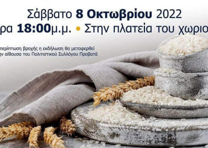 Σήμερα στον Προβατά: 22η Γιορτή Ρυζιού