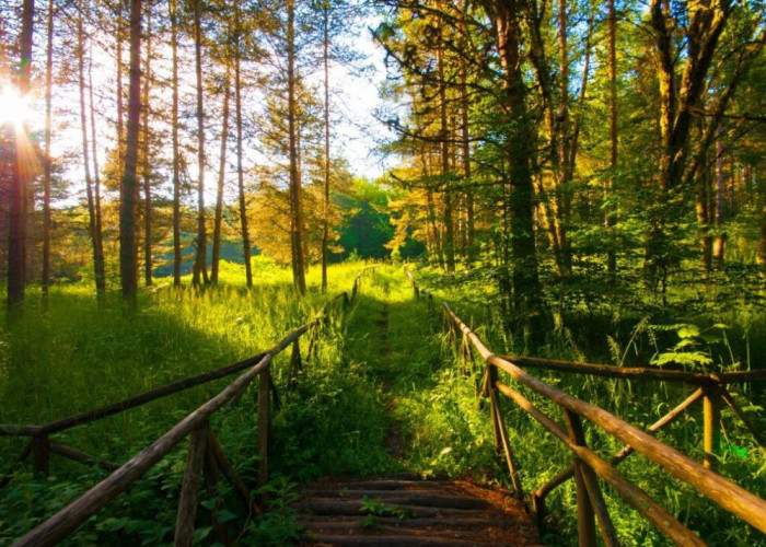 Είπε η Αποκεντρωμένη Διοίκηση Μακεδονίας-Θράκης  Όχι στο λατομείο στον Λαϊλιά