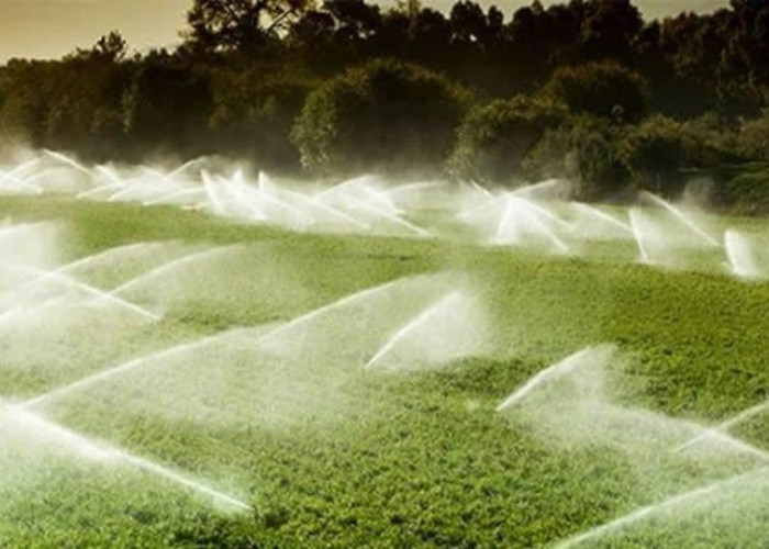 Κων. Μαναβούδης (πρόεδρος του ΤΟΕΒ Προβατά): Ευχαριστούμε τον Καραμανλή, το όραμα παίρνει σάρκα και οστά