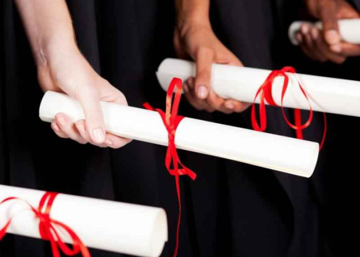 Η υποβάθμιση της πανεπιστημιακής παιδείας- Γράφει ο Γιώργος Βεζυργιαννίδης