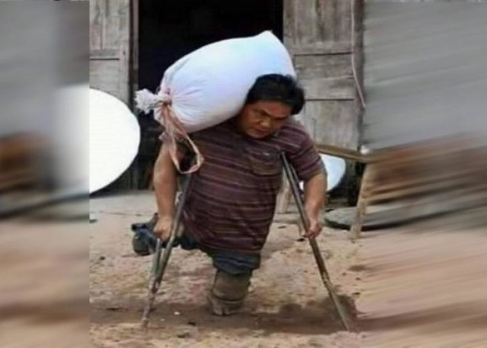 Δεν Έχει Πόδια Αλλά Καθημερινά Μεταφέρει Ασήκωτα Σακιά Για Να Ταΐσει Τα Παιδιά Του.!!!