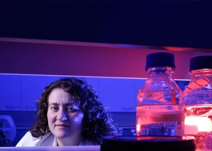 «Υπάρχουν θεραπείες για πολλές ασθένειες αλλά κάθονται μέσα στα ψυγεία»