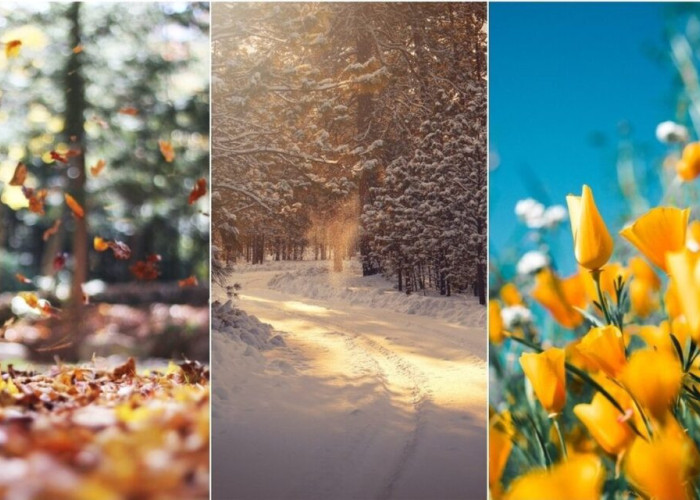 Καιρός – Γιαννόπουλος: Τρεις εποχές σε τρεις ημέρες – Από την άνοιξη στον χειμώνα