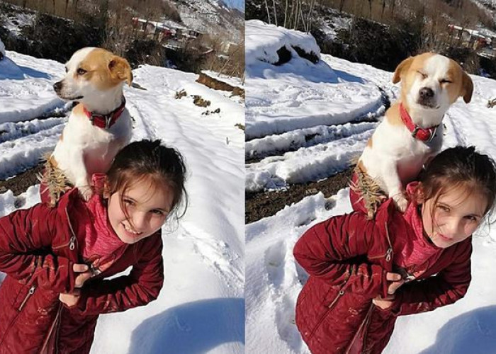8χρονη περπάτησε 2,5 χιλιόμετρα στο χιόνι κουβαλώντας το σκύλο της για να τον πάει στον κτηνίατρο.