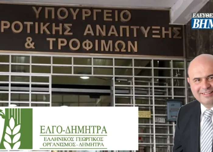 Ο Σερραίος Σπύρος Μάμαλης στη νέα μεταβατική διοίκηση στον ΕΛΓΟ – ΔΗΜΗΤΡΑ
