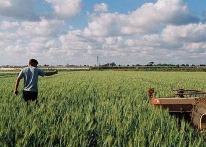 Ημερίδα για τον Ψηφιακό Μετασχηματισμό στη Γεωργία από τη Π.Ε Σερρών