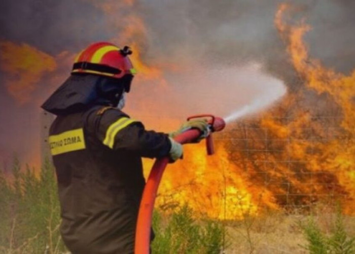 Σέρρες: Υψηλός κίνδυνος πυρκαγιάς αύριο Παρασκευή 14/8- Συναγερμός στην Πυροσβεστική