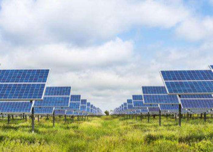 Επιτροπή Αγώνα για την ματαίωση των σχεδίων εγκατάστασης φωτοβολταϊκών στο Μενοίκιο Όρος