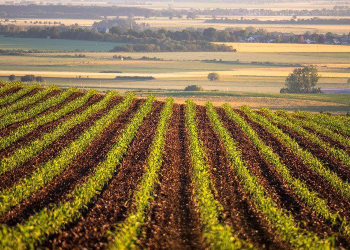Επιστημονική έρευνα της WHEATWATCHER για το έδαφος στη νέα εποχή για τη γεωργία