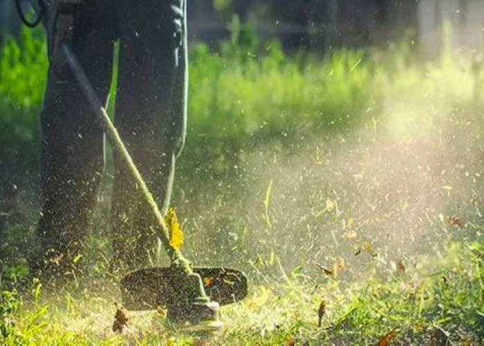 Καθαρισμός Οικοπέδων: Με ταχείς ρυθμούς οι δηλώσεις – Πότε λήγει η προθεσμία