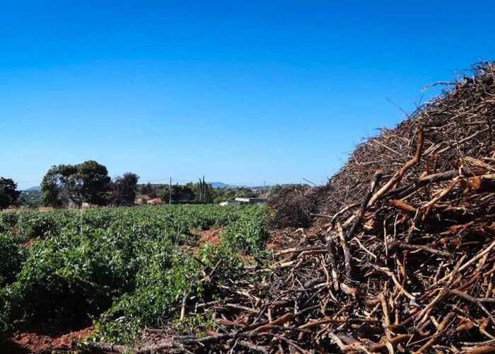 Ακαθάριστα οικόπεδα: Δόθηκε και επίσημα η παράταση έως 15 Ιουνίου