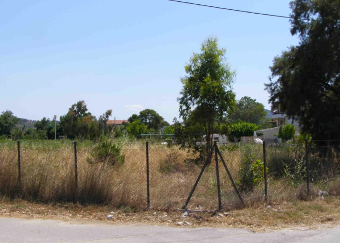 Καθαρισμός οικοπέδων: Πότε λήγει η διορία – Πόσες δηλώσεις έχουν καταγραφεί