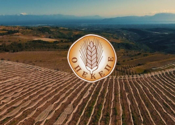 Βαλτωμένη παραμένει η κατάσταση στον ΟΠΕΚΕΠΕ – Θολό το τοπίο για τις δηλώσεις ΟΣΔΕ