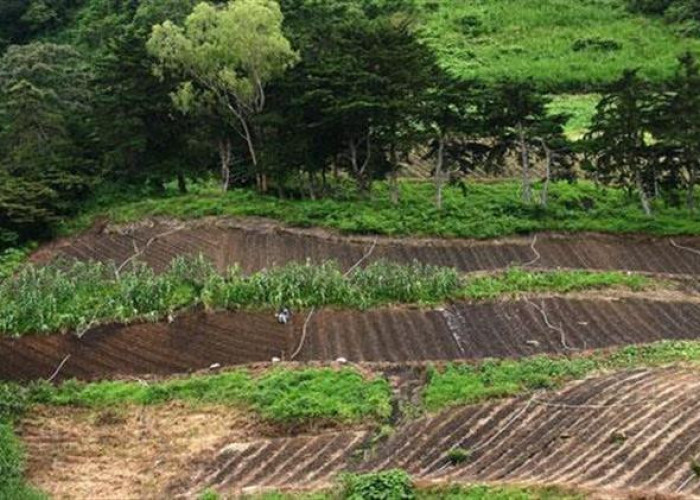 Κώστας Μπούμπας: "Είναι τραγελαφικό να χρηματοδοτείτε την αγρανάπαυση και όχι τις δασώσεις"