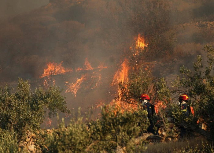 Φωτιά στο Αλιβέρι Εύβοιας - Συναγερμός στην Πυροσβεστική