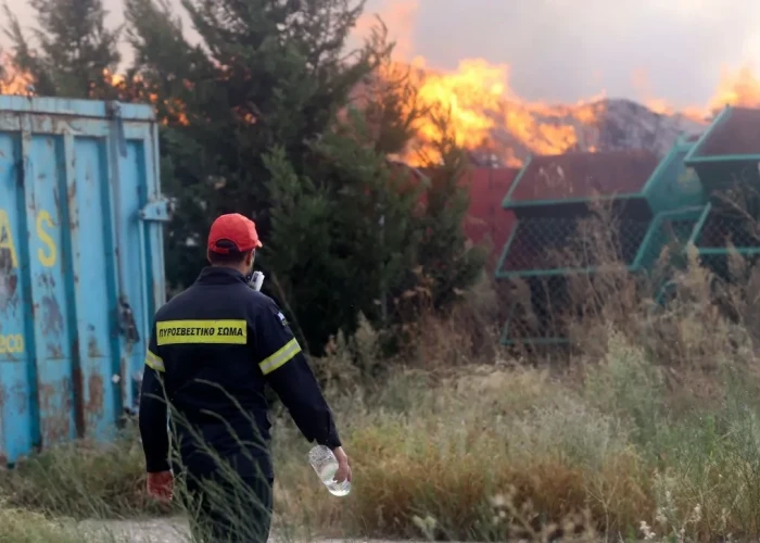 Βόλος: Φωτιά σε δύο εστίες ανάμεσα σε Στεβανοβίκειο και Ριζόμυλο