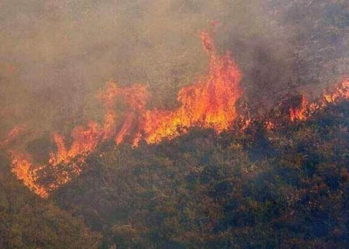 Υψηλός κίνδυνος εκδήλωσης πυρκαγιάς για αύριο στις Σέρρες