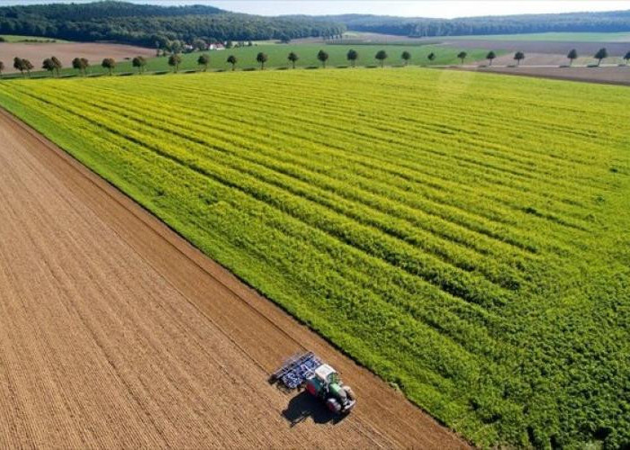 Παράταση υποβολής αιτήσεων για το πρόγραμμα βιολογικής γεωργίας και κτηνοτροφίας