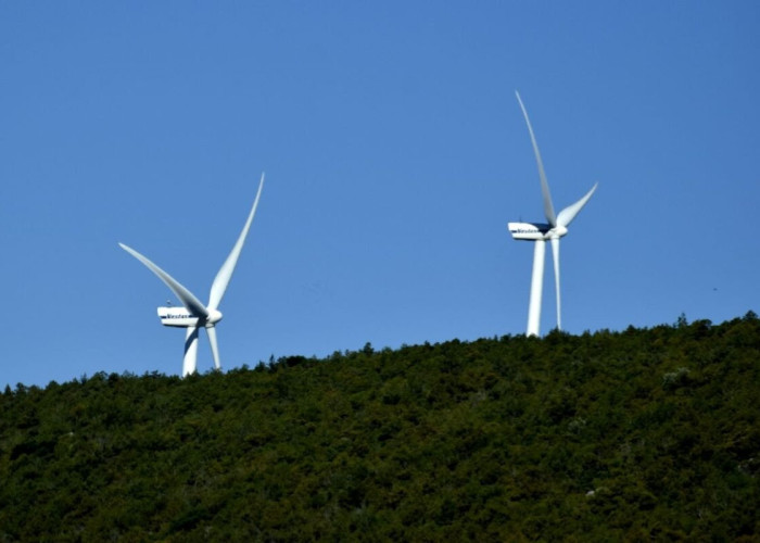 Προχωρά έργο για νέο αιολικό στις Σέρρες – Δείτε πού θα γίνει