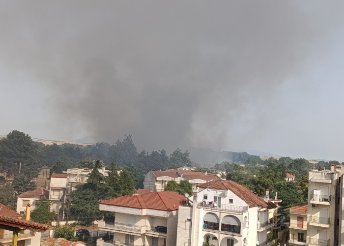 "Ο ήρωας πιλότος" της φωτιάς στον οικισμό Αγίου Ραφαήλ- Νέο βίντεο