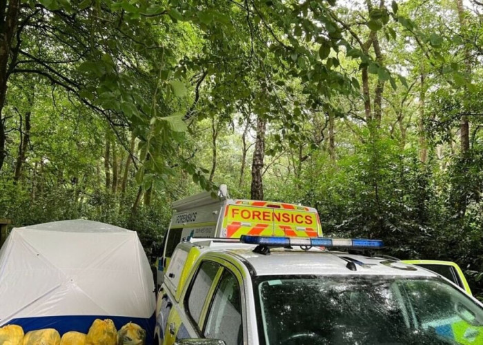 Κορνουάλη: Πολλά πτώματα βρέθηκαν σε δάσος - Μεγάλη αστυνομική επιχείρηση