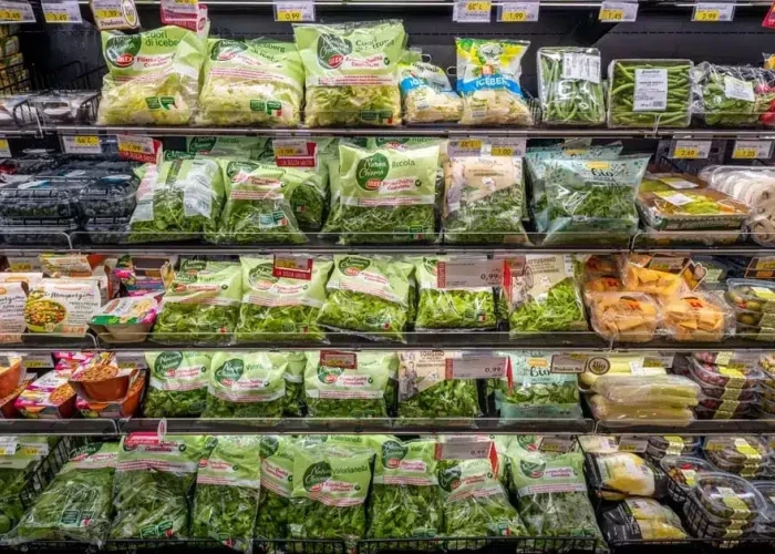 Καταναλώνεις έτοιμες σαλάτες; Μάθε για τον κίνδυνο Τοξοπλάσμωσης – Τι έδειξε πανευρωπαϊκή μελέτη