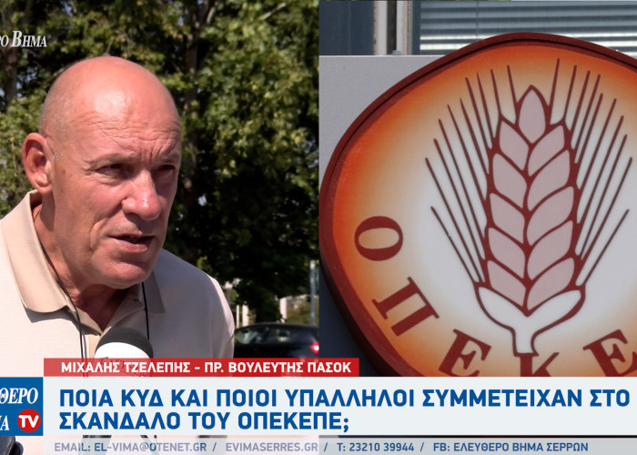 Μιχάλης Τζελέπης - Σέρρες: Ποια ΚΥΔ και ποιοι υπάλληλοι συμμετείχαν στο σκάνδαλο του ΟΠΕΚΕΠΕ;