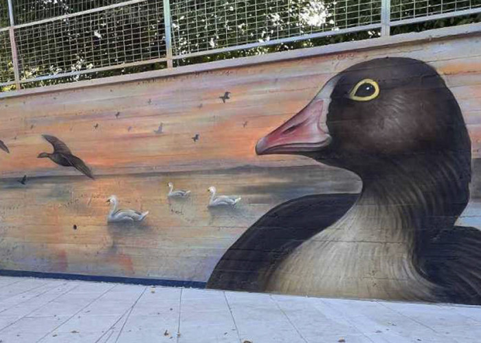 Οι Νανόχηνες «προσγειώθηκαν» στα σχολεία της Αλεξανδρούπολης!