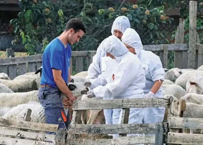 ΠΑΣΟΚ Σερρών -Η αιγοπροβατοτροφία σε οριακό σημείο