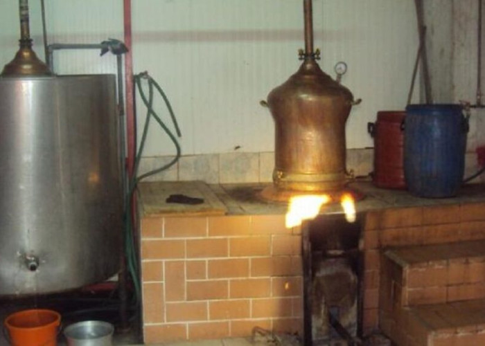 Σέρρες - Ξεκινά η αποστακτική περίοδος - Έρχονται τα φρέσκα τσίπουρα για το 2025