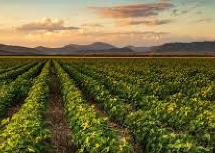 ΠΟΓΕΔΥ -Πακέτο με έντονο “μετά” (ΘΑ)  και λιγότερο “τώρα”