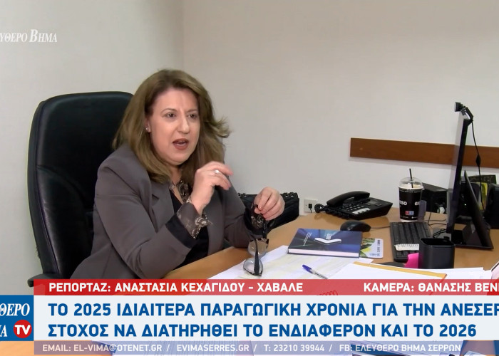 Ελένη Τριανταφύλλου (Γενική Διευθύντρια της ΑΝΕΣΕΡ): Ιδιαίτερα παραγωγική χρονιά το 2025