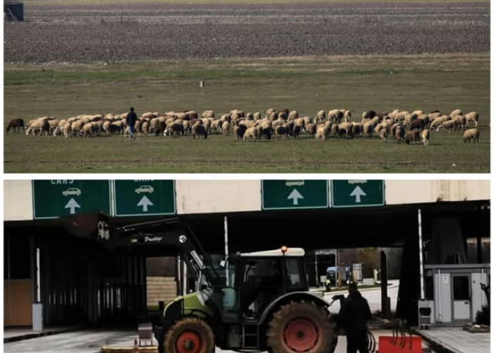 Λαϊκή Συσπείρωση: Πρόταση για απαλλαγή αγροτοκτηνοτρόφων από τα δημοτικά τέλη