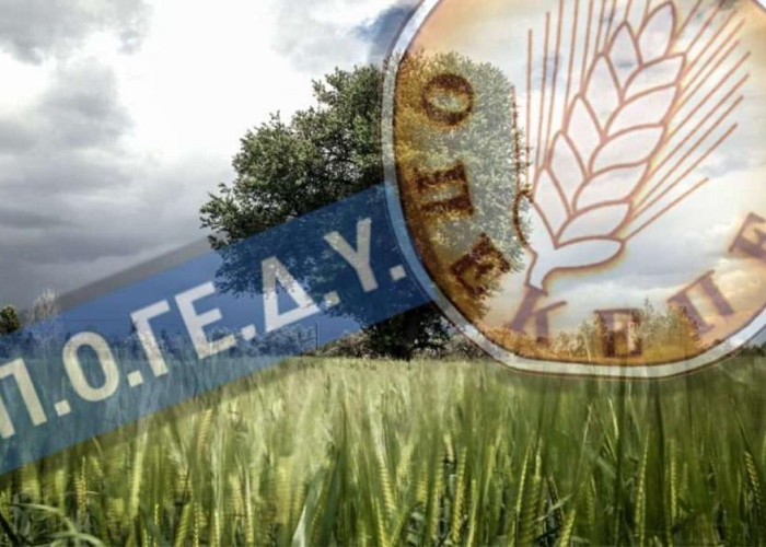 ΠΟΓΕΔΥ: Μεταρρύθμιση ή συγκάλυψη; Απαντήσεις τώρα ή ευρωπαϊκοί έλεγχοι αύριο