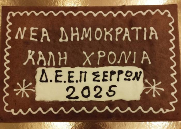 Για την κοπή της βασιλόπιτας της ΔΕΕΠ (πρωην ΝΟΔΕ) οι Σερραίοι Νεοδημοκράτες γέμισαν το ξενοδοχείο «Φίλιππος Ξενία»