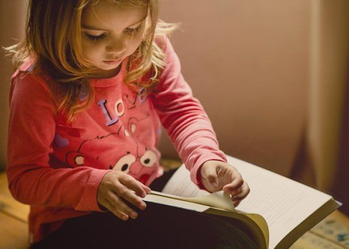 Εκδήλωση αφιερωμένη στο παιδικό βιβλίο την Κυριακή 8/3 στην Αίθουσα του Δημαρχείου Σιδηροκάστρου