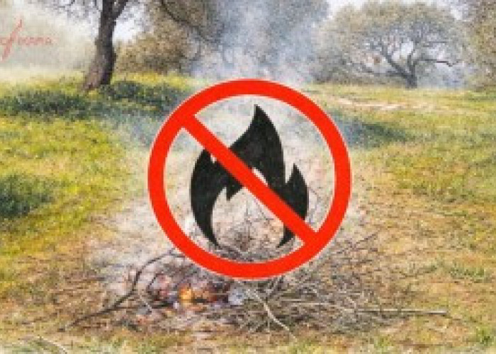 Π.Υ Σερρών: Ισχυρή σύσταση για την αποφυγή χρήσης πυρός και θερμών εργασιών στην ύπαιθρο λόγω θυελλωδών ανέμων