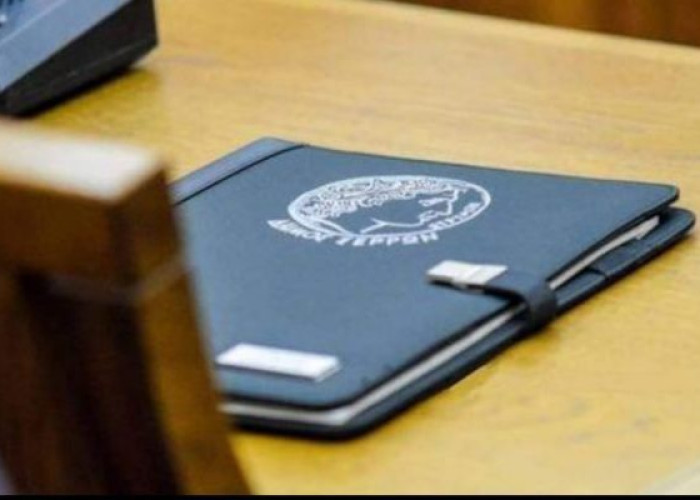 Apolitic: Δεν ανθίζουν όλα τα  λουλούδια  κάθε  εποχή...