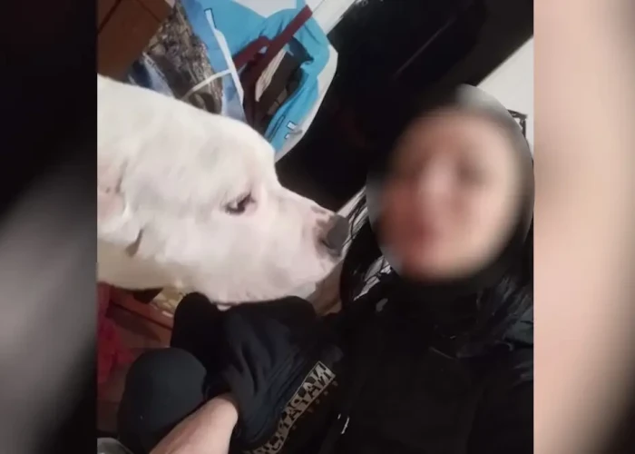 Κολωνός: Αναπάντητα ερωτήματα για την 31χρονη έγκυο που βρέθηκε νεκρή – Βασικός ύποπτος ο σύντροφός της