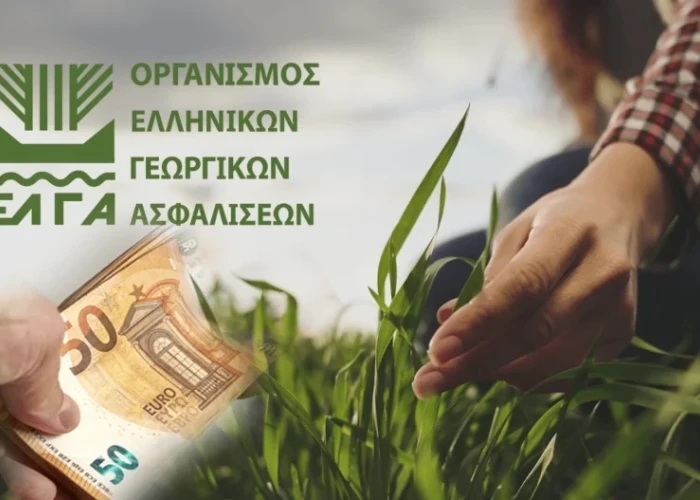 ΕΛΓΑ: Καταβολή αποζημιώσεων ύψους 73 εκατομμυρίων ευρώ για ζημίες του 2025