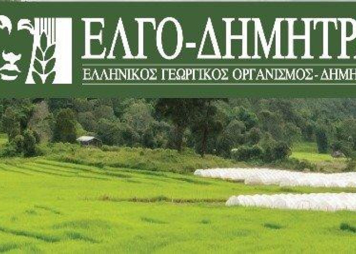 Ομάδα διαχείρισης κρίσης και 10 κτηνίατροι του ΕΛΓΟ-ΔΗΜΗΤΡΑ μεταβαίνουν άμεσα στο νησί για την αντιμετώπιση του αφθώδους πυρετού στη Λέσβο