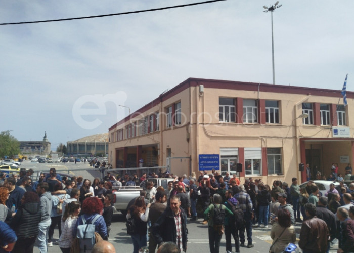 Μυτιλήνη: Μπλόκο στις σφαγές ολόκληρων κοπαδιών από τους κτηνοτρόφους - Νέα σύσκεψη στο υπουργείο