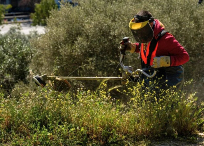 Πότε λήγει η προθεσμία για τα ακαθάριστα οικόπεδα