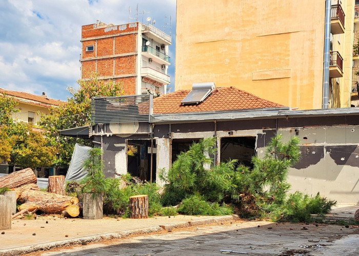 Ενεργοί πολίτες Σερρών - Αυτεπάγγελτη παρέμβαση Εισαγγελίας Σερρών για την κοπή των δέντρων του ΚΡΟΝΙΟΥ