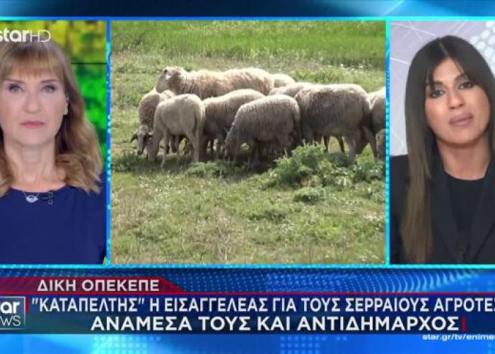 Σέρρες - ΟΠΕΚΕΠΕ: Καταπέλτης η εισαγγελέας για τους 32 Σερραίους αγρότες